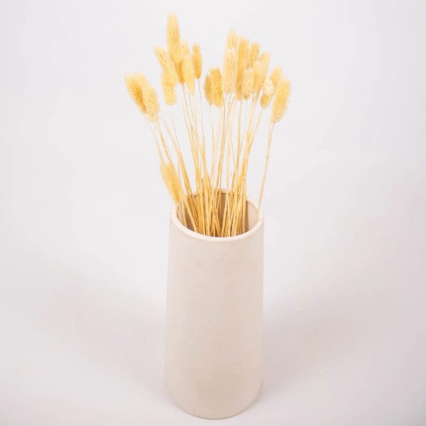 Natural Dried Canary Grass Online - Image 4