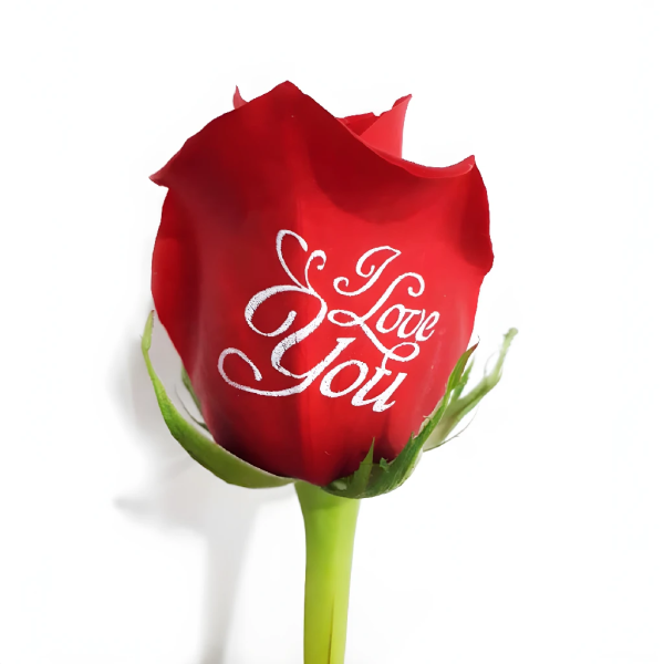 I Love You Personalized Roses Supply