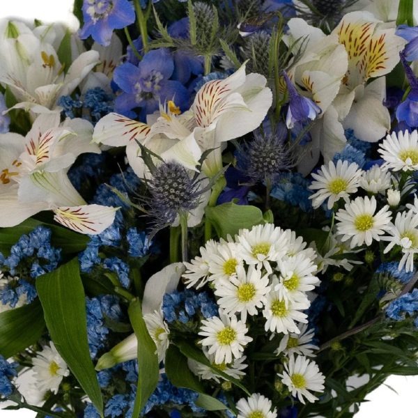 Blue Magic DIY Flower Kit Discount