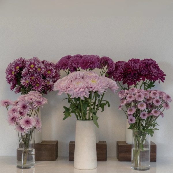 Shades Of Purple Chrysanthemum Flower Mix on Sale - Image 2