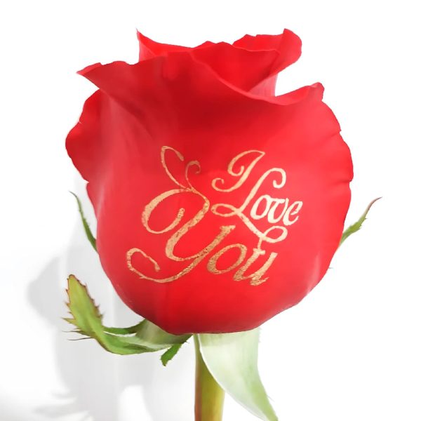 I Love You Personalized Roses Supply - Image 2