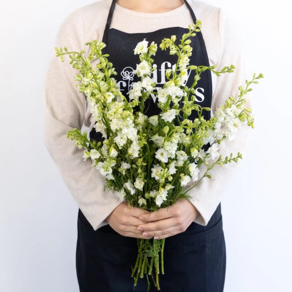 Larkspur White Flower For Discount - Image 4