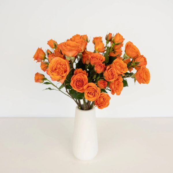 Dark Orange Spray Bulk Roses Online Hot Sale - Image 3