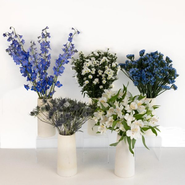 Blue Magic DIY Flower Kit Discount - Image 2