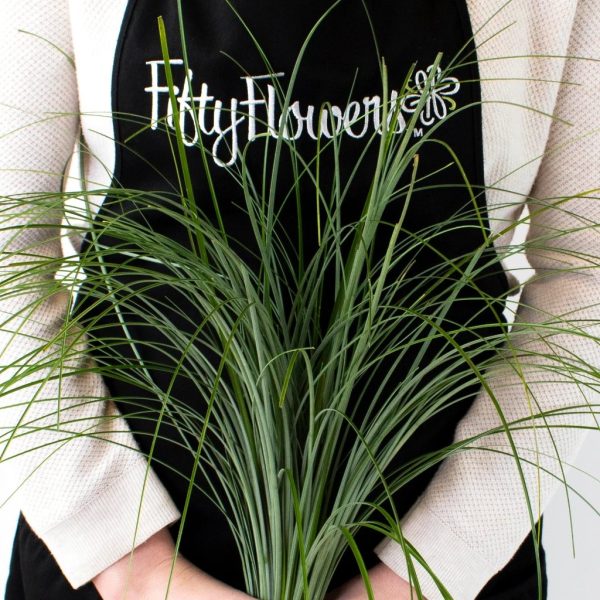 Bear Grass Greenery Online - Image 4