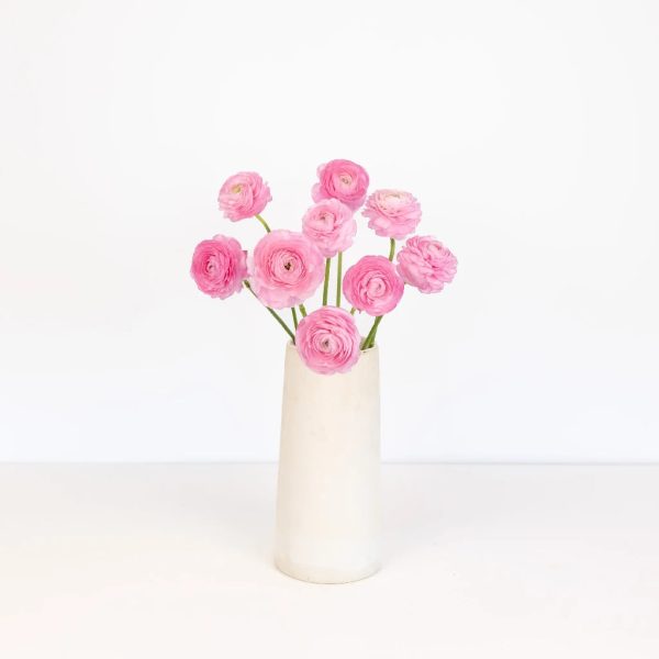 Light Pink Ranunculus Fresh Cut Flower Discount - Image 3