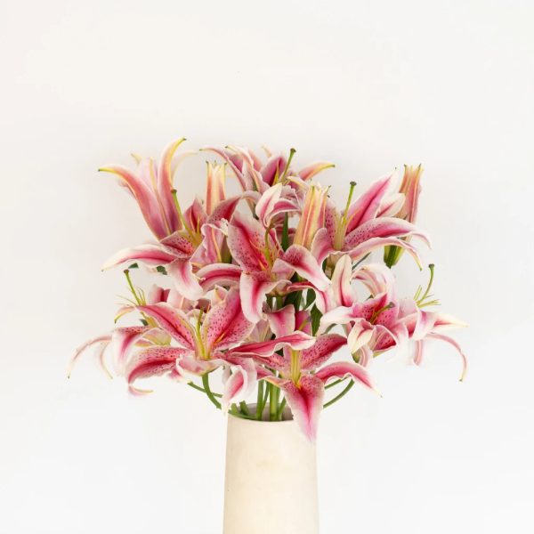 Hot Pink Oriental Lilies Online now - Image 3