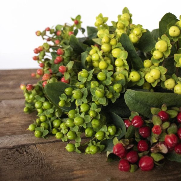 Mixed Color Hypericum Berries Online