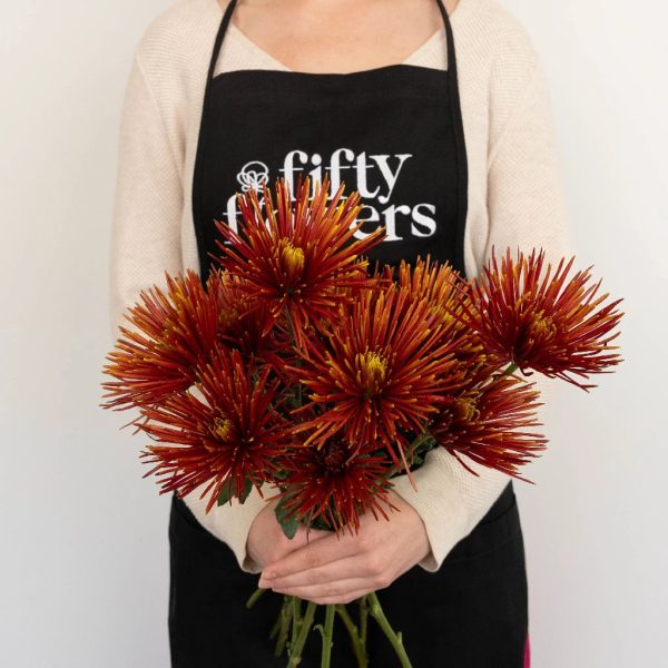 Autumn Rust Spider Mum Flowers For Cheap - Image 4