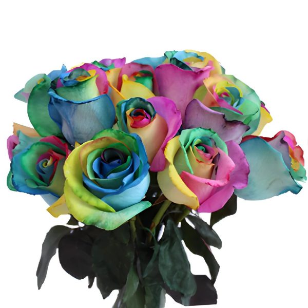 Star Burst Rainbow Roses For Discount - Image 2