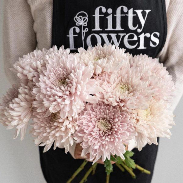 Honeymoon Avenue Bahlia Flower Supply - Image 4