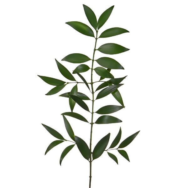 Nagi Greenery For Sale - Image 3