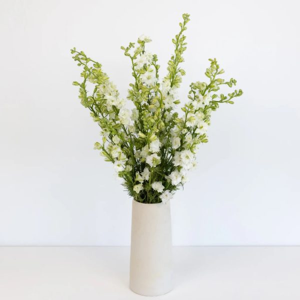 Larkspur White Flower For Discount - Image 3