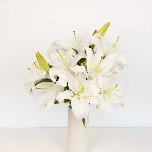 White Oriental Lilies Sale - Image 3