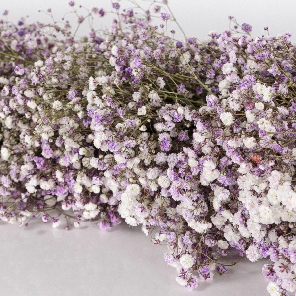 Lavender Baby s Breath Garland Online - Image 2