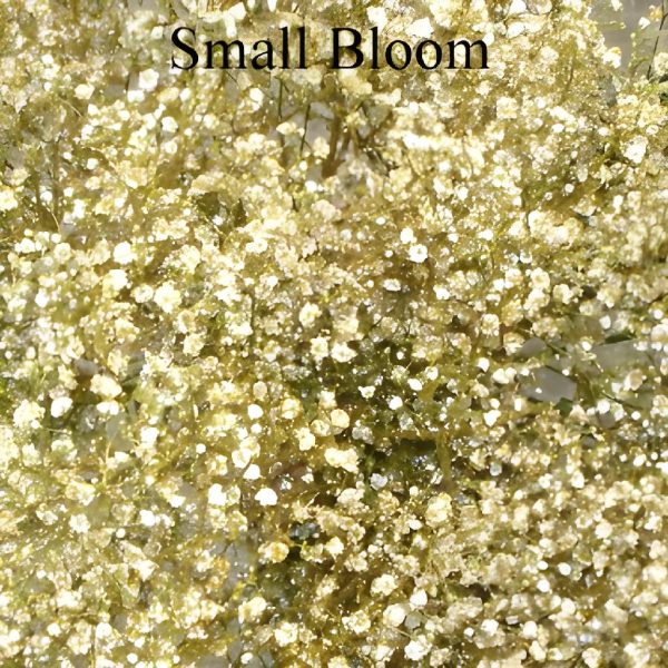 Gold Glitter Baby s Breath Flower Supply - Image 2