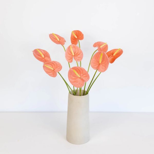 Anthurium Peach Tropical Flower Online - Image 3