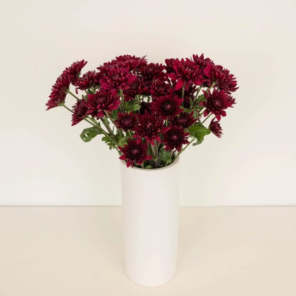 Velvet Wine Chrysanthemum Fashion - Image 3