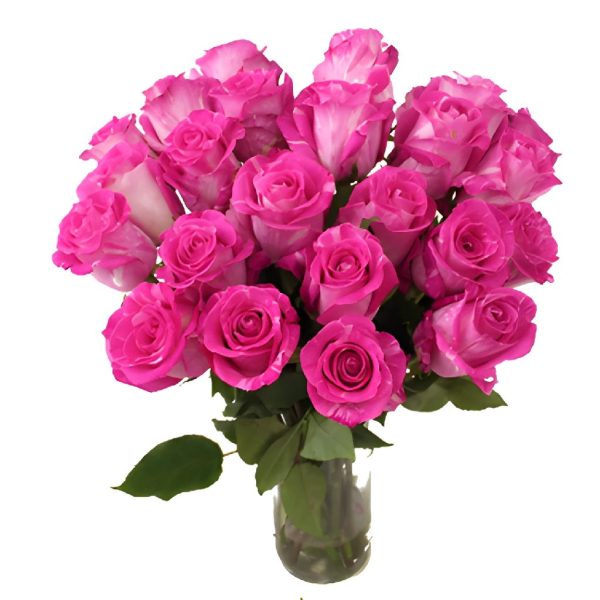 Wild One Pink Rose Fashion - Image 4