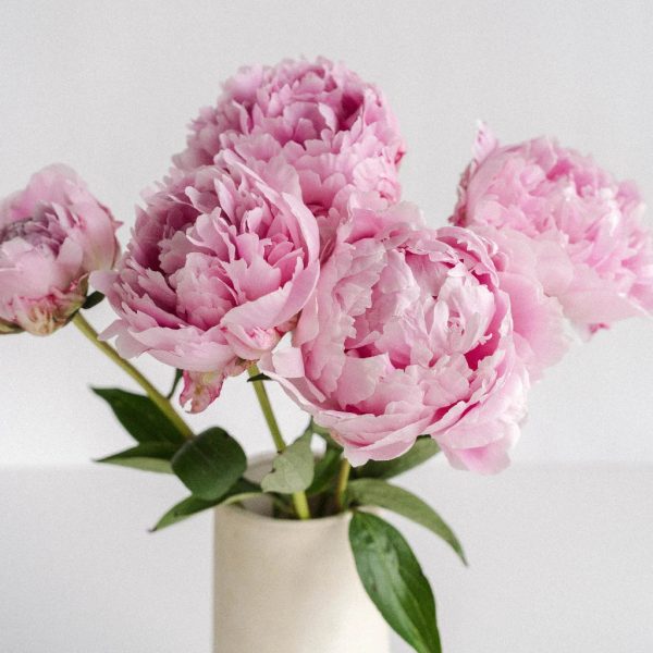 Mothers Day Pink Peony Flowers Fashion - Image 3