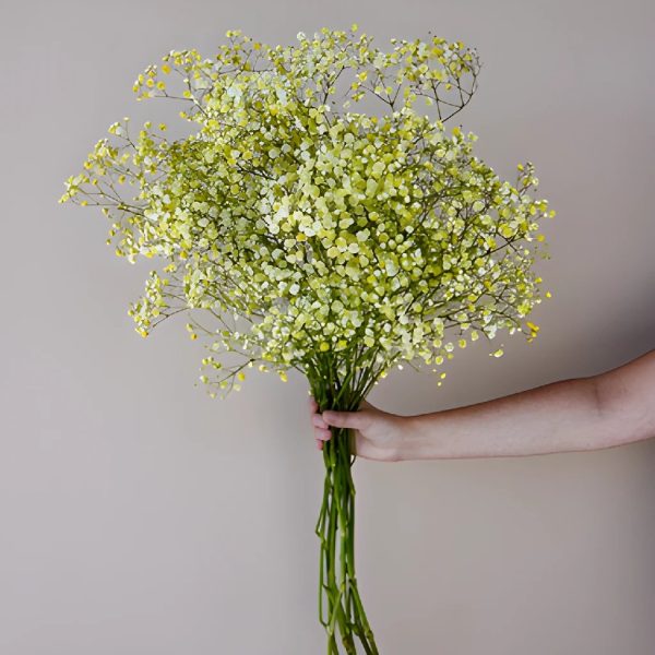 Yellow Airbrushed Baby s Breath Flower For Discount - Image 3