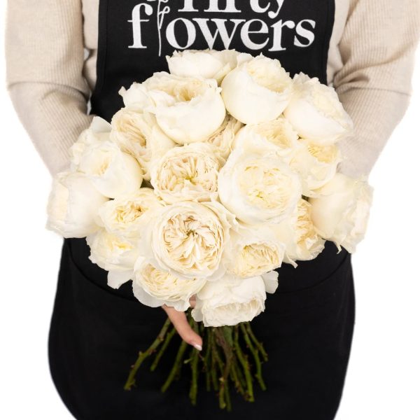 Paper White Garden Rose Online - Image 4